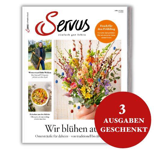 KS Stephan Treffspiel Zahlenrad - Armbrust Zielscheibe Für Kinder & Partys