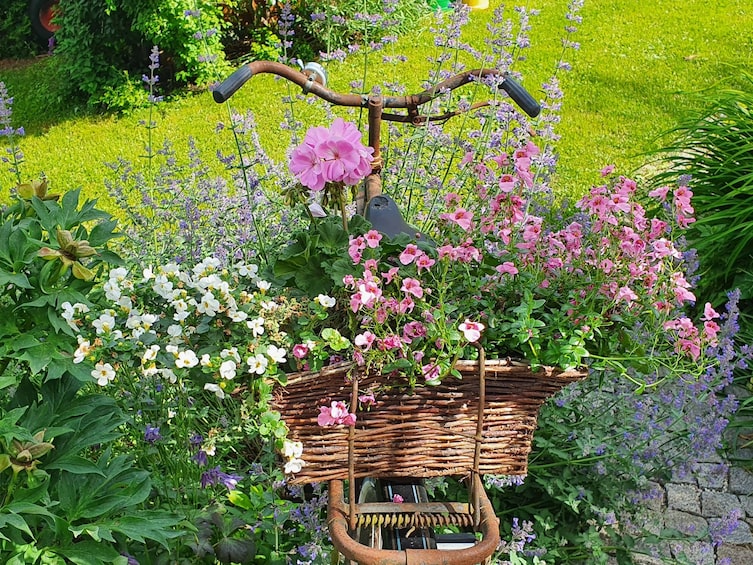 Leserfoto Garten-Gewinnspiel 2020