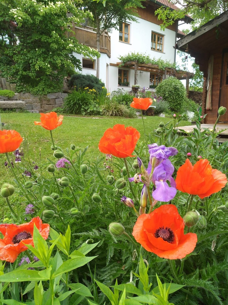 Leserfoto Garten-Gewinnspiel 2020 (Foto: Veronika Entholzer)