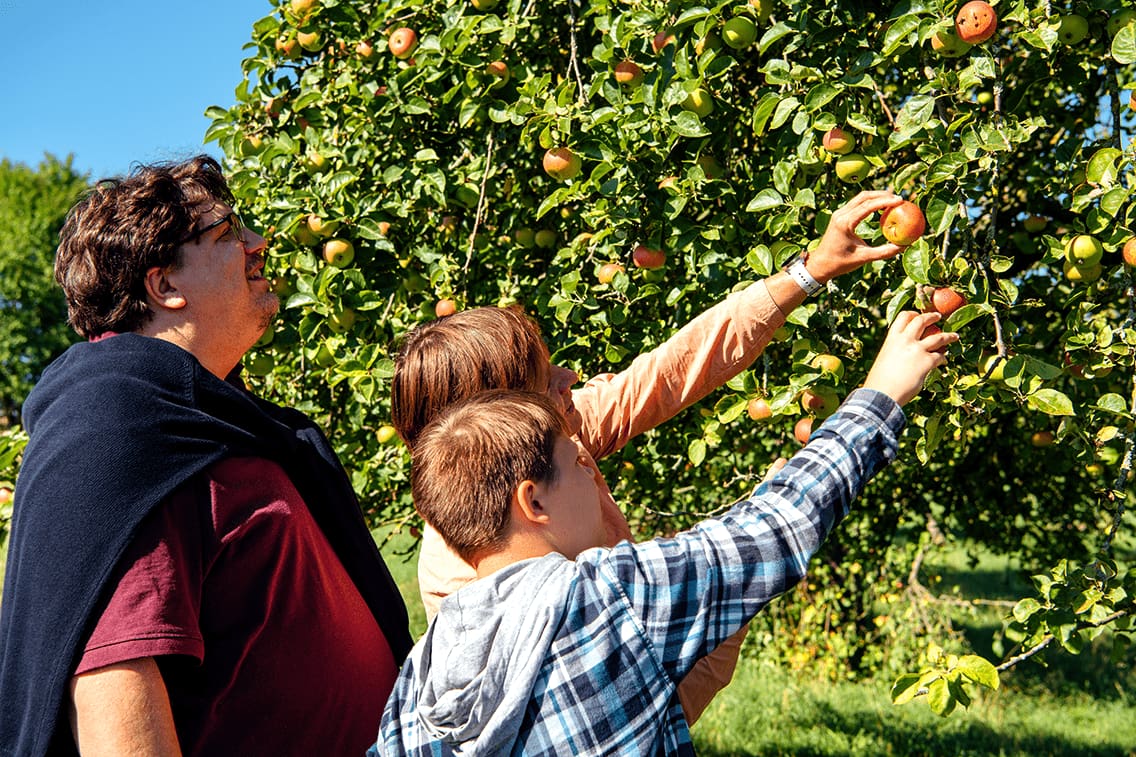 Im Biohof Franke gibt es nicht nur die besten Äpfel, sondern auch hausgemachten Most zu verkosten.