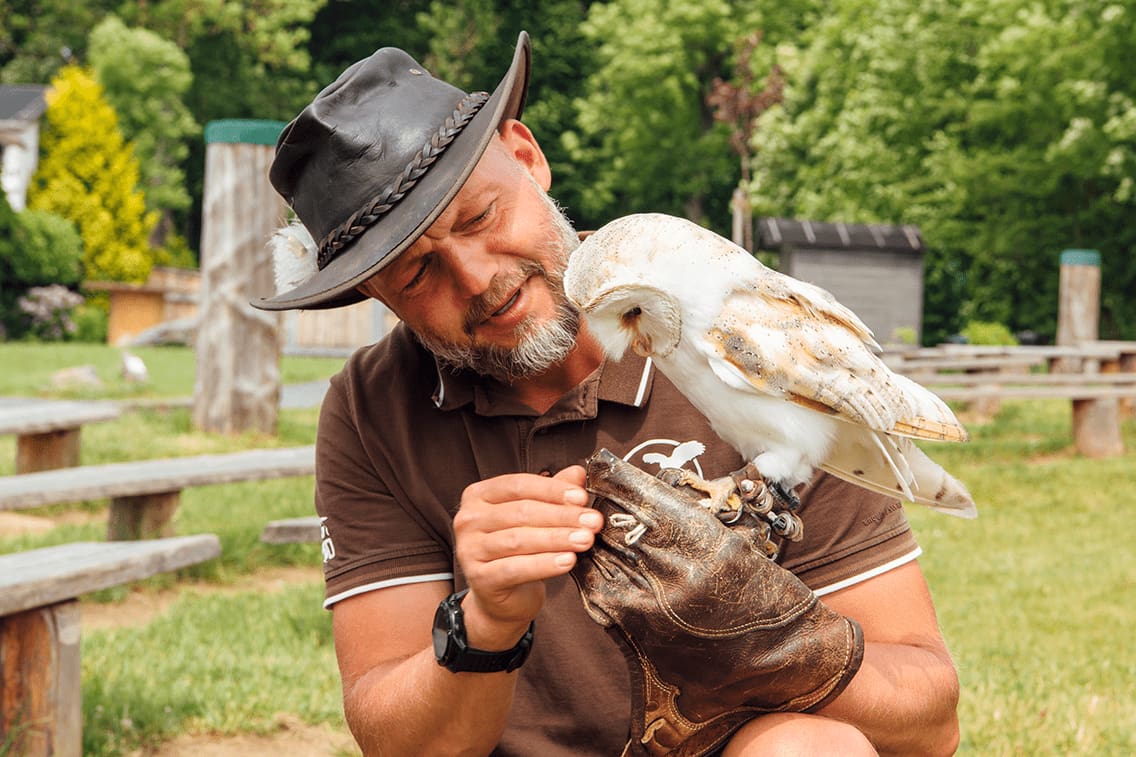 Die Flugvorführung von Falkner Hans-Peter Herrmann in Jößnitz