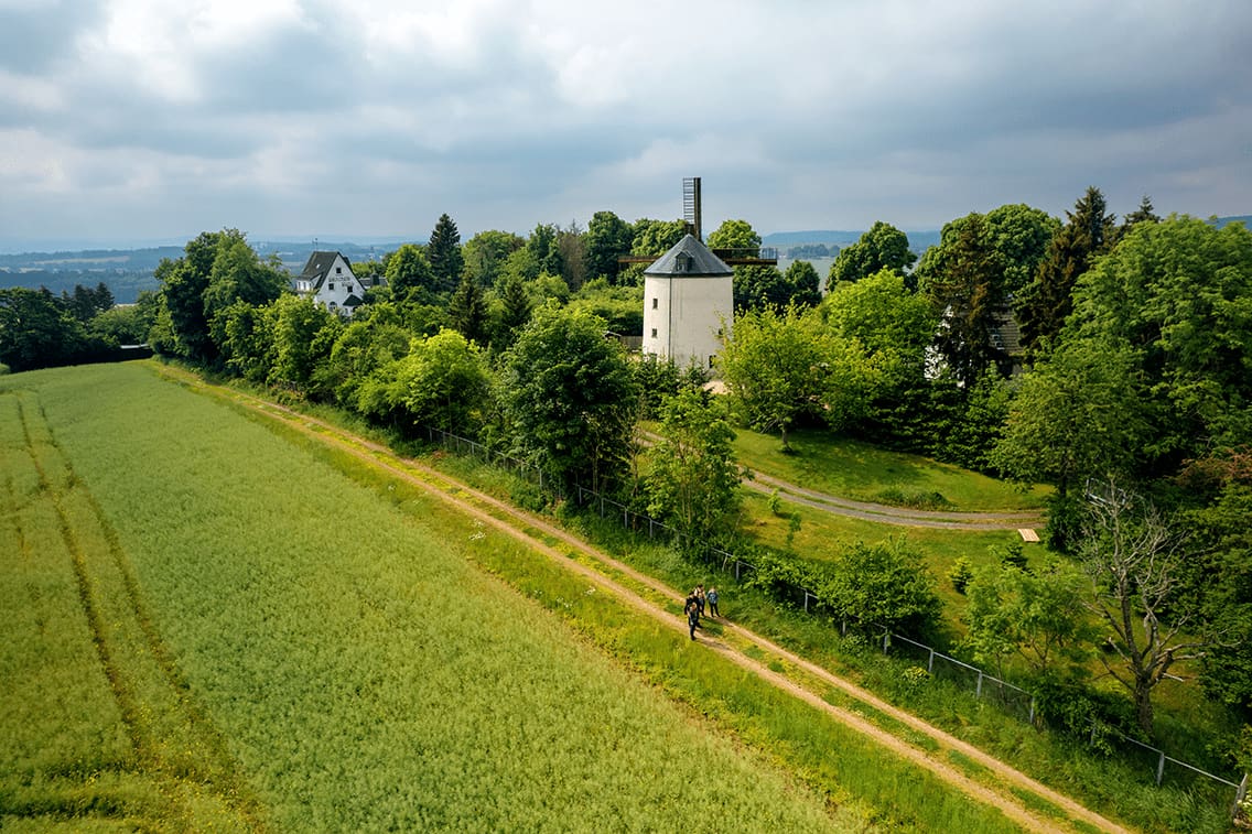 Eine Windmühle in Sachsen umrandet von grüner Landschaft