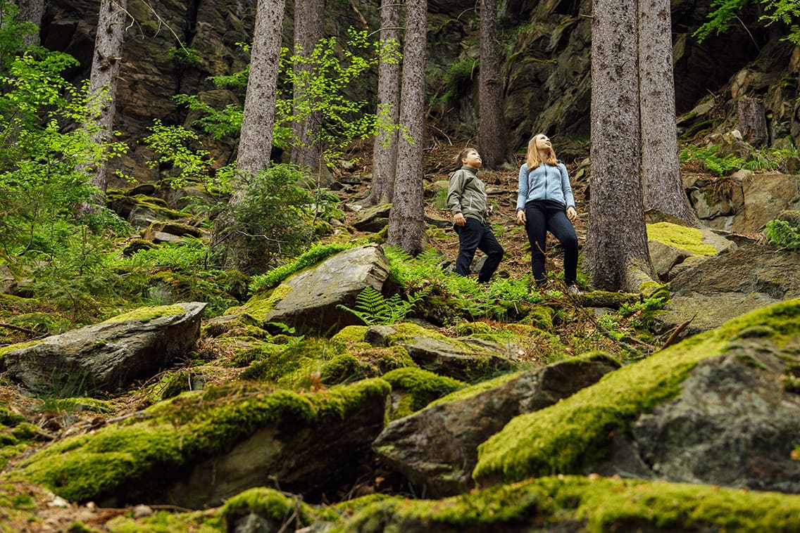 Im Schwarzwassertal, ein Naturschutzgebiet in Sachsen, stehen 2 Kinder und bestaunen die Natur.