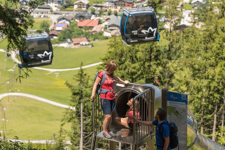 Der Waldrutschenpark am Hochkönig im Sommer