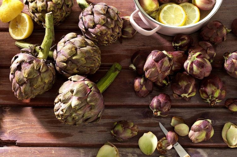 Artischocke Distel Pflanzenporträt Gemüse