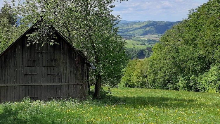 Nature, Outdoors, Countryside