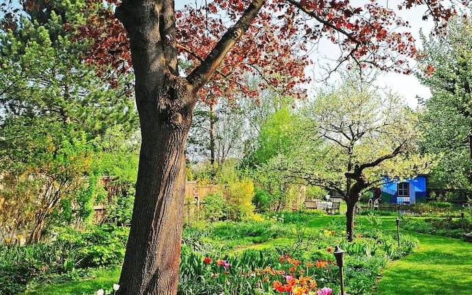 Gartenbesuch Gartenhütte Garten Frühling