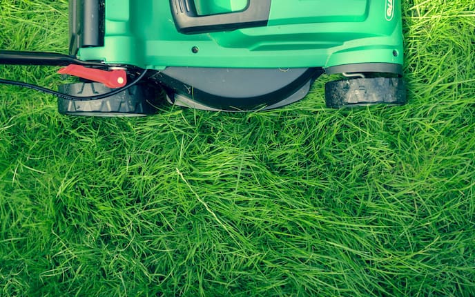 Garten, Gartenwissen, Rasen, Rollrasen, grüner Teppich, Rasenmäher