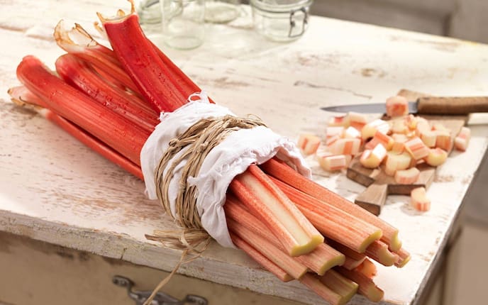 Rhabarber, Rhabarberstangen, geschnitten, Brett, Messer, Rhabarber gesund
