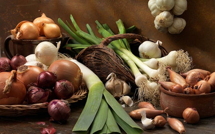 Gelbe Zwiebel, rote Zwiebel, Schalotten, Jungzwiebel, Knoblauch, Lauchgewächse