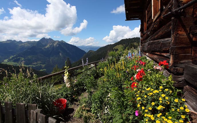 Blick von einer Almhütte Richtung Tal und Bergen