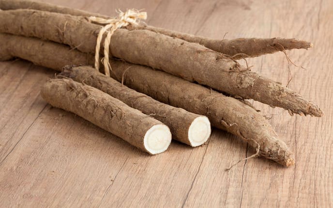 Klettenwurzel, alte Gemüsesorten