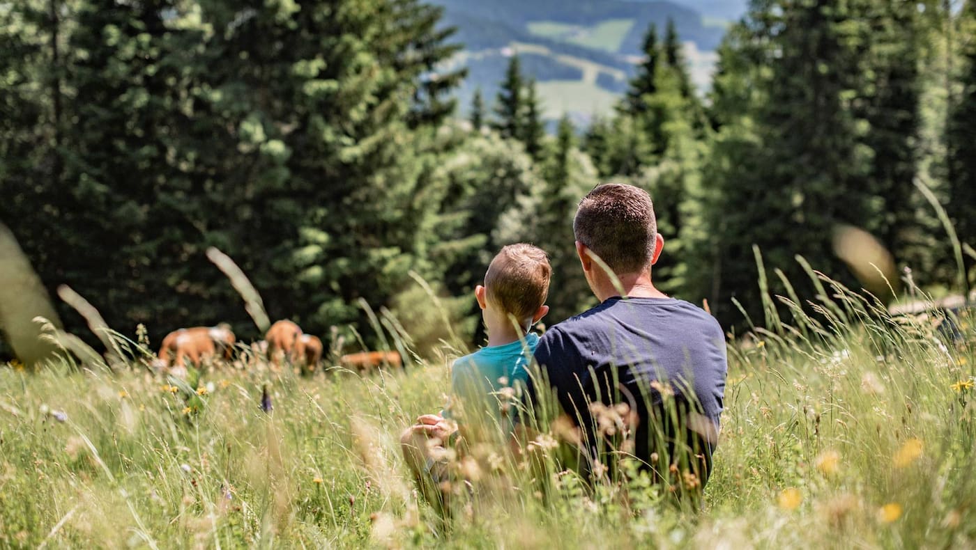 Die schönsten Familienwanderung im Murtal bieten Gipfelerlebnisse im Herzen der Steiermark.