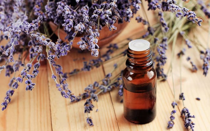 Lavendel-Deocreme zum Selbermachen (Bild: Getty Images)