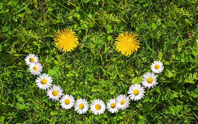 Lachendes Gesicht aus Blumen auf Wiese (Bild: Getty Images)