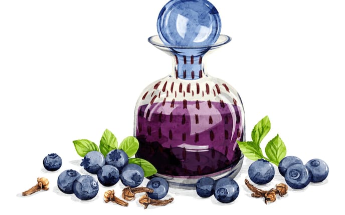 Heidelbeerlikör selber machen