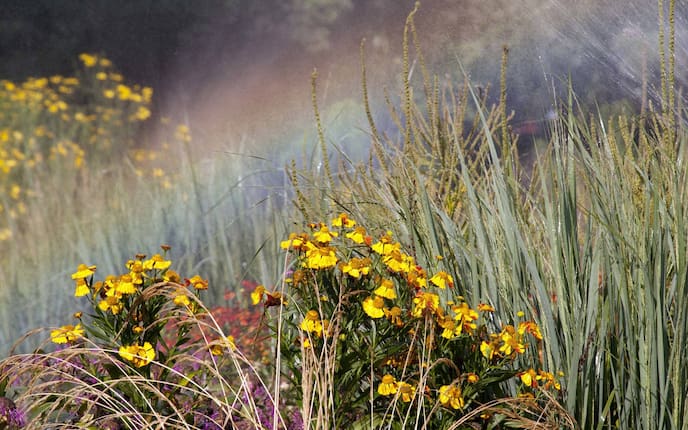 Gärtnern im Wandel: Wie der Garten Klimafest wird