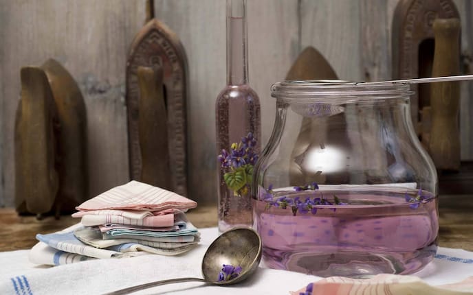 Iris, Veilchen, Flower