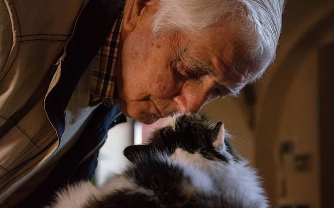 Tiere, Tierwissen, Katze, Alter, alt, betagt, Wehwehchen