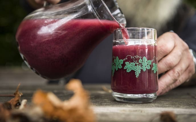 Uhudler-Traube (Bild: Philip Platzer  )