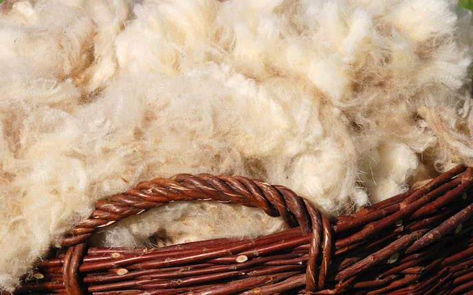 Warum Wolle besser wärmt als Synthetik, Wolle, Wärme