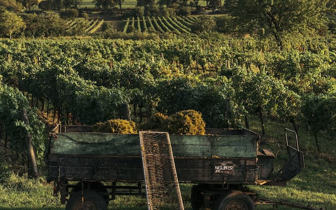 Leithagebirge (Bild: Marco Mestrovic)