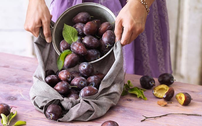 Zwetschke Pflaumen Steinobst