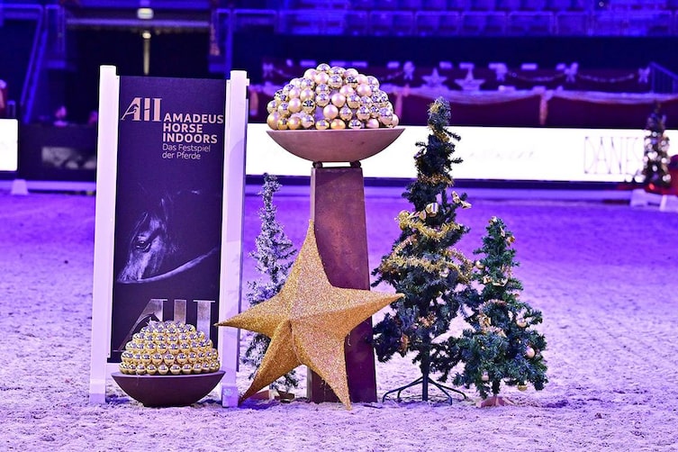 AMADEUS HORSE INDOORS