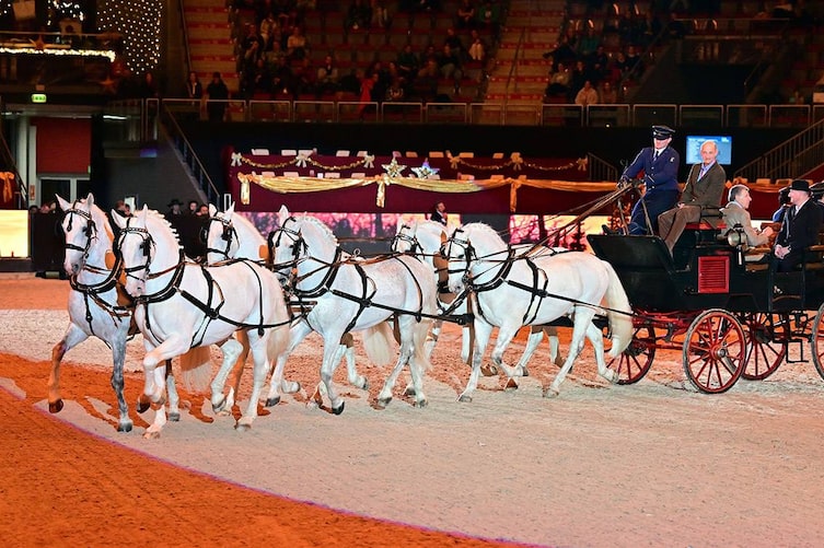 Eine elegante Kutsche mit sechs weißen Pferden fährt die Ehrengäste der AMADEUS HORSE INDOORS in die Salzburgarena.