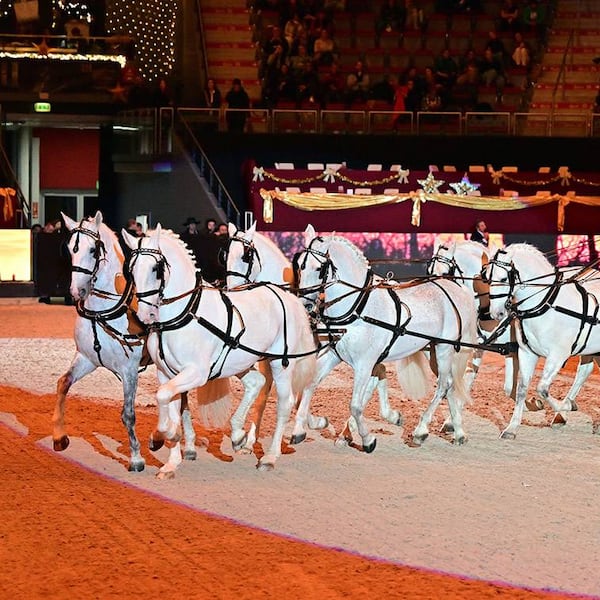 Eine elegante Kutsche mit sechs weißen Pferden fährt die Ehrengäste der AMADEUS HORSE INDOORS in die Salzburgarena.