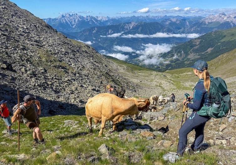 Almauftrieb mit Kühen auf einem sehr geröllreichen Aufstieg, es ist Sommer, man hat einen herrlichen Weitblick ins Tal mit vielen hohen Bergen im Hintergrund. Es sind mehrere Männer und eine Frau beim Aufrieb der Kühe dabeil