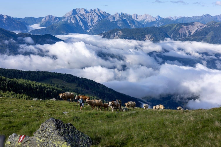 Sommer auf der Alm mit Blick ins Tal das mit Wolken verhangen ist. Ein Bauer geht mit seinen Kühen über eine Wiese auf die Alm.