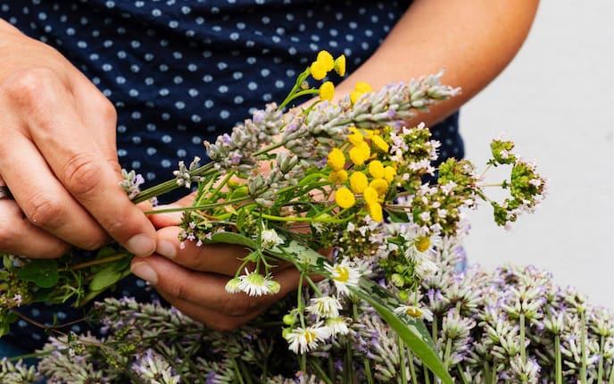 Johanniskraut, Salbei, Wermut, Lavendel, Minze, Oregano, Bergbohnenkraut, Frauenmantel und Königskerze gehören in ein traditionelles Himmelfahrtsbüschel.
