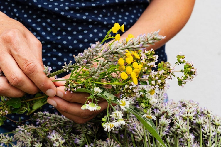 Johanniskraut, Salbei, Wermut, Lavendel, Minze, Oregano, Bergbohnenkraut, Frauenmantel und Königskerze gehören in ein traditionelles Himmelfahrtsbüschel.