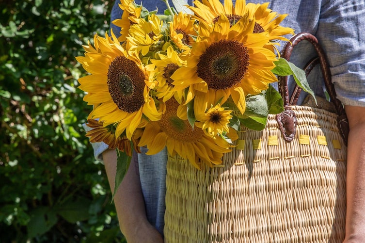Jutekorb verziert mit einem gelben Band, in dem Korb stecken Sonnenblumen, eine Frau in einem blauen Kleid trägt den Korb mit dem Blumen.