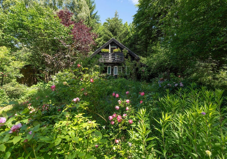 Rosengarten im Wald mit Holzhäuschen im Sommer