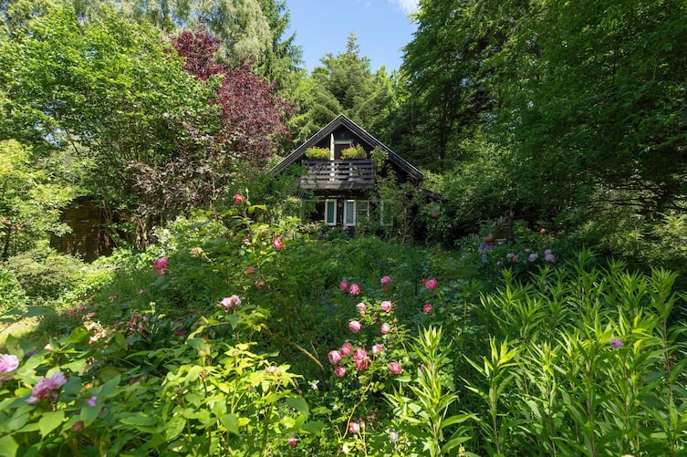 Rosengarten im Wienerwald, blühende verschiedenen Rosen, es ist Sommer, alles steht in voller Blüte, mitten im Garten steht ein kleines Holzhäuschen mit weißgrünen Balken.