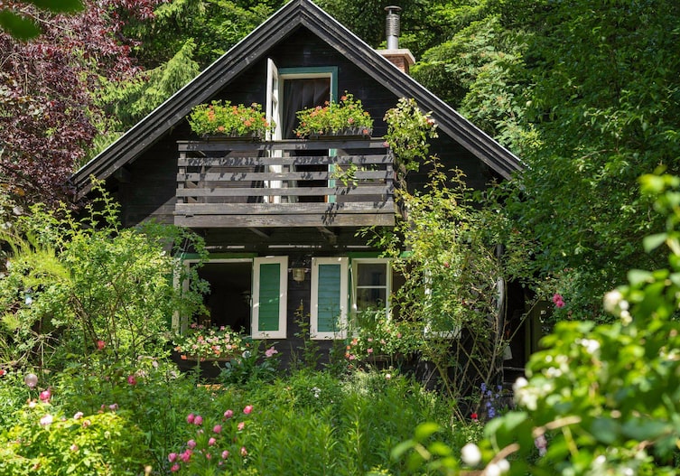 Nahaufnahme Holzhäuschen umringt mit Rosen mitten im Wald im Sommer