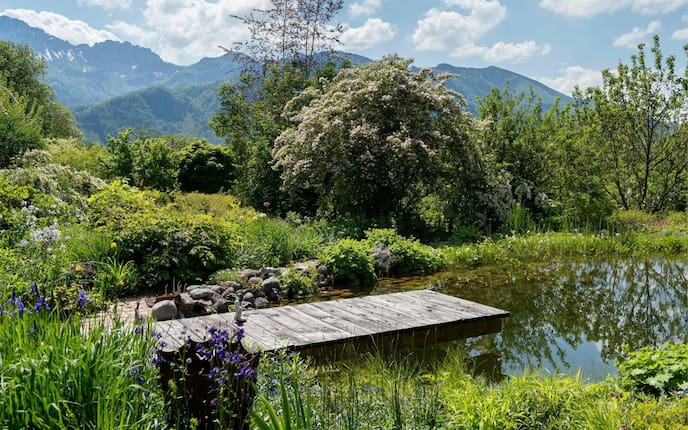 Schwimmteich mit Holzsteg im Hochsommer, im Hintergrund sind bewaldete Bergspitzen zu sehen.