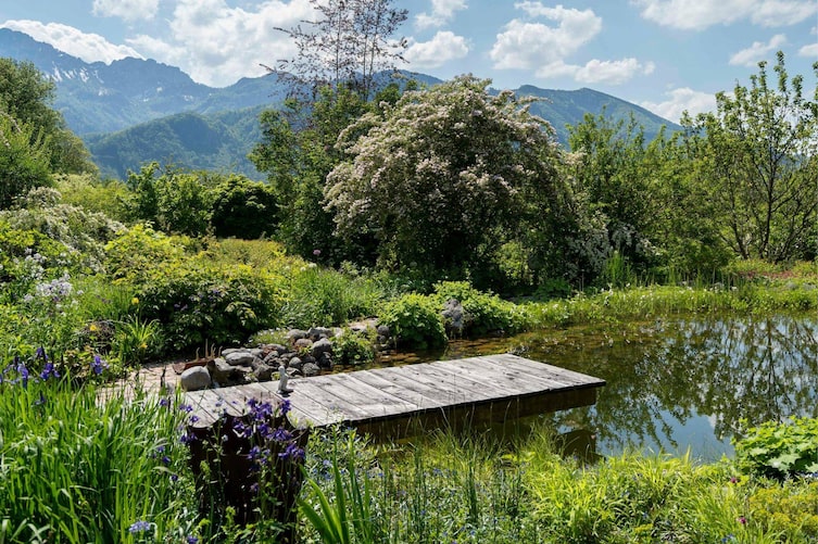 Schwimmteich mit Holzsteg im Hochsommer, im Hintergrund sind bewaldete Bergspitzen zu sehen.