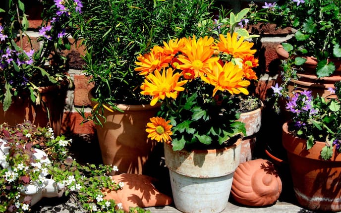 Garten, Tontopf, Terrakotta