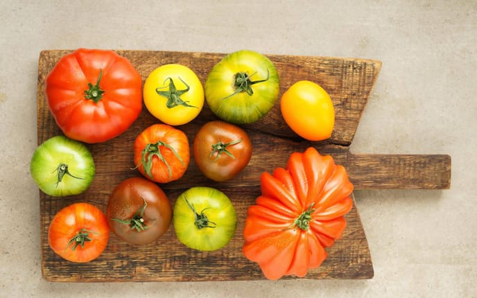 Gelbe, rote, grüne Tomatensorten auf einem Holzbrett