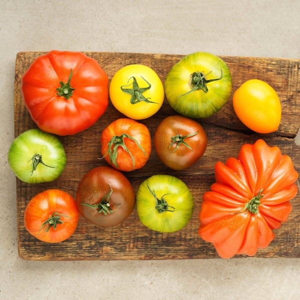 Gelbe, rote, grüne Tomatensorten auf einem Holzbrett