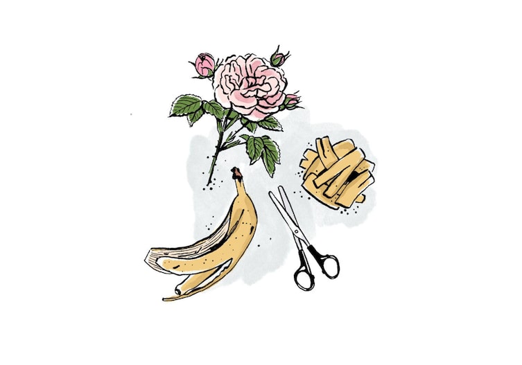 eine Bananenschale, Schere, Rose, Bananenschalenstücke als Grafik