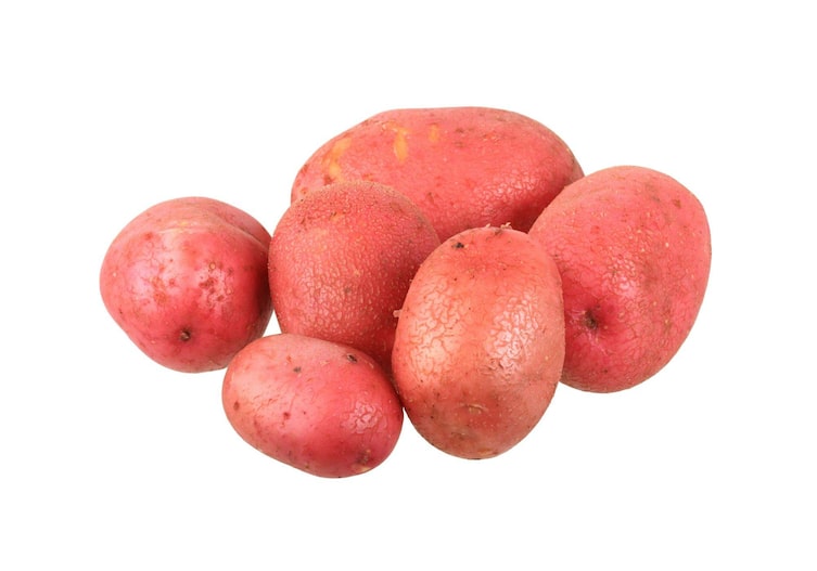 Rote Kartoffeln mittelgroß mit rauer Schale