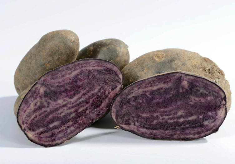 Violett-marmorierte Kartoffeln, auch das Fruchtfleisch, außen erdige, glatte dunkle Schale