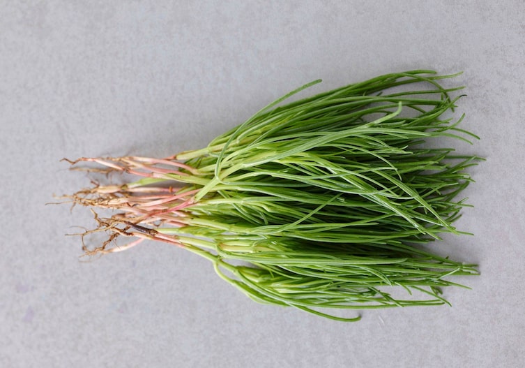 Frischer Zwiebelknoblauch