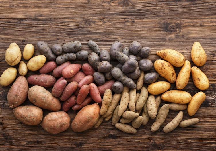 unterschiedliche Kartoffelsorten (gelb, rot, violett), Süßkartoffeln auf einer Holzunterlage nach Sorten angereiht.
