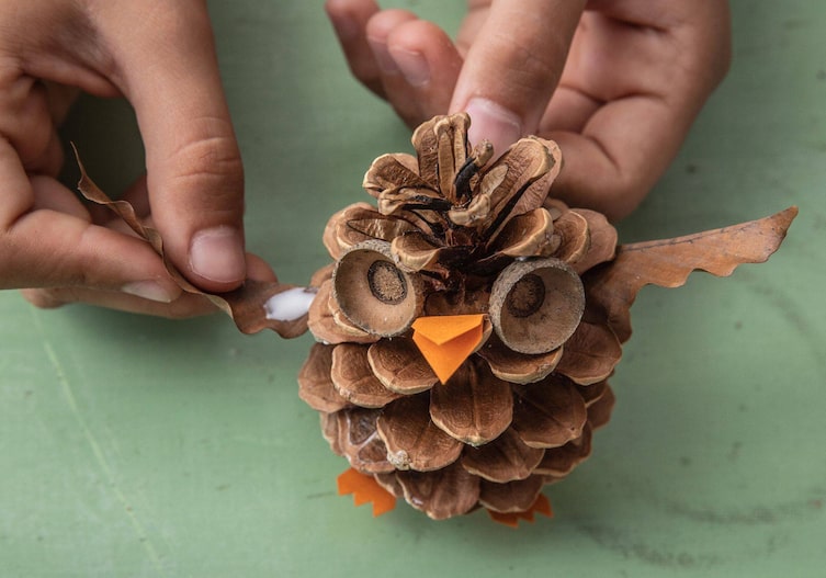 Zapfeneule, aufgeklebter oranger Papierschnabel und Blätter als Flügel