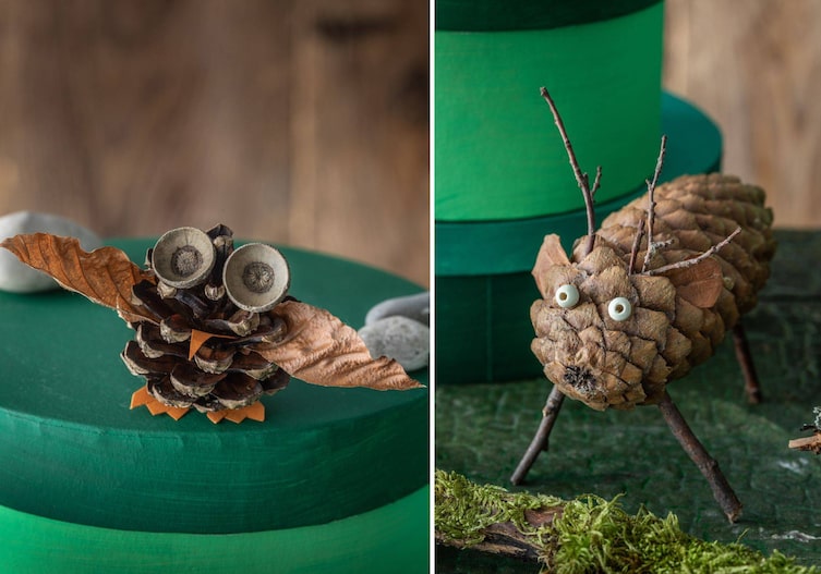 Zapfeneule und Zapfenhirsch in Nahaufnahme